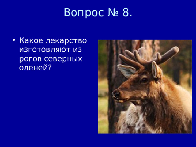 Вопрос № 8.   Какое лекарство изготовляют из рогов северных оленей? 