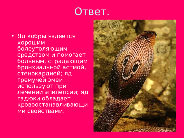 Ответ.   Яд кобры является хорошим болеутоляющим средством и помогает больным, страдающим бронхиальной астмой, стенокардией; яд гремучей змеи используют при лечении эпилепсии; яд гадюки обладает кровоостанавливающими свойствами. 