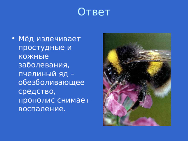 Ответ   Мёд излечивает простудные и кожные заболевания, пчелиный яд – обезболивающее средство, прополис снимает воспаление. 