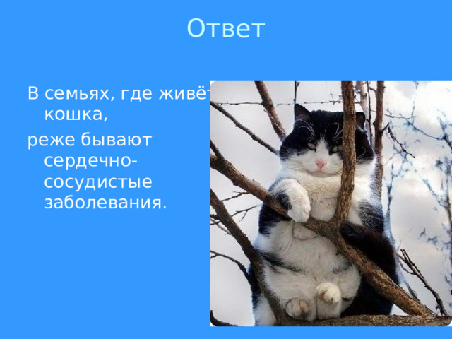 Ответ   В семьях, где живёт кошка, реже бывают сердечно-сосудистые заболевания. 