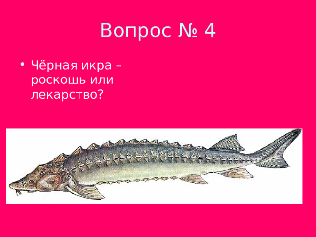 Чёрная икра – роскошь или лекарство? 