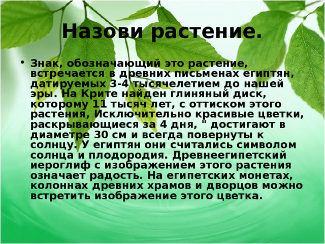 Назови растение. Знак, обозначающий это растение, встречается в древних письменах египтян, датируемых 3-4 тысячелетием до нашей эры. На Крите найден глиняный диск, которому 11 тысяч лет, с оттиском этого растения, Исключительно красивые цветки, раскрывающиеся за 4 дня, 