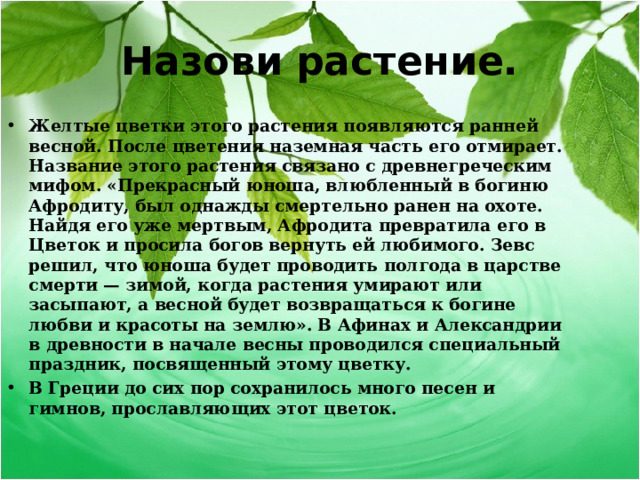 Назови растение. Желтые цветки этого растения появляются ранней весной. После цветения наземная часть его отмирает. Название этого растения связано с древнегреческим мифом. «Прекрасный юноша, влюбленный в богиню Афродиту, был однажды смертельно ранен на охоте. Найдя его уже мертвым, Афродита превратила его в Цветок и просила богов вернуть ей любимого. Зевс решил, что юноша будет проводить полгода в царстве смерти — зимой, когда растения умирают или засыпают, а весной будет возвращаться к богине любви и красоты на землю». В Афинах и Александрии в древности в начале весны проводился специальный праздник, посвященный этому цветку. В Греции до сих пор сохранилось много песен и гимнов, прославляющих этот цветок.  