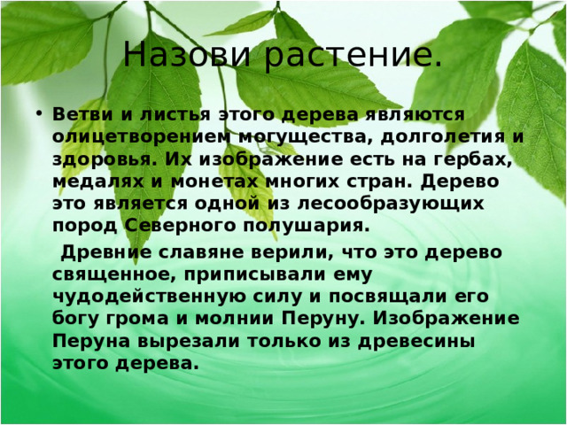 Назови растение. Ветви и листья этого дерева являются олицетворением могущества, долголетия и здоровья. Их изображение есть на гербах, медалях и монетах многих стран. Дерево это является одной из лесообразующих пород Северного полушария.  Древние славяне верили, что это дерево священное, приписывали ему чудодейственную силу и посвящали его богу грома и молнии Перуну. Изображение Перуна вырезали только из древесины этого дерева.  