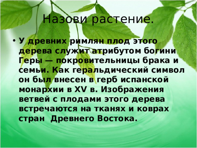 Назови растение. У древних римлян плод этого дерева служит атрибутом богини Геры — покровительницы брака и семьи. Как геральдический символ он был внесен в герб испанской монархии в XV в. Изображения ветвей с плодами этого дерева встречаются на тканях и коврах стран  Древнего Востока.  