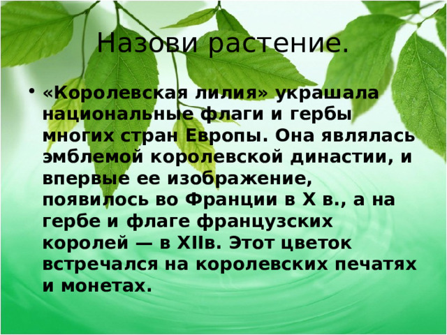 Назови растение. «Королевская лилия» украшала национальные флаги и гербы многих стран Европы. Она являлась эмблемой королевской династии, и впервые ее изображение, появилось во Франции в Х в., а на гербе и флаге французских королей — в Х II в. Этот цветок встречался на королевских печатях и монетах.  