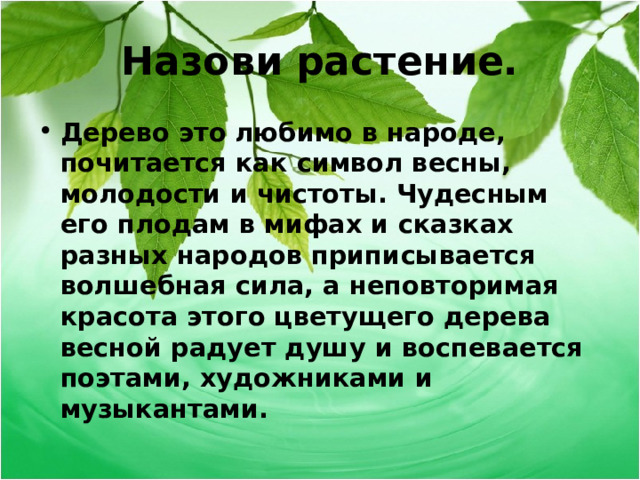 Назови растение. Дерево это любимо в народе, почитается как символ весны, молодости и чистоты. Чудесным его плодам в мифах и сказках разных народов приписывается волшебная сила, а неповторимая красота этого цветущего дерева весной радует душу и воспевается поэтами, художниками и музыкантами.  