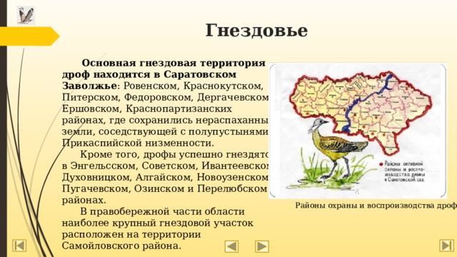 Гнездовье  Основная гнездовая территория дроф находится в Саратовском Заволжье : Ровенском, Краснокутском, Питерском, Федоровском, Дергачевском, Ершовском, Краснопартизанских районах, где сохранились нераспаханные земли, соседствующей с полупустынями Прикаспийской низменности.  Кроме того, дрофы успешно гнездятся в Энгельсском, Советском, Ивантеевском, Духовницком, Алгайском, Новоузенском, Пугачевском, Озинском и Перелюбском районах.  В правобережной части области наиболее крупный гнездовой участок расположен на территории Самойловского района. Районы охраны и воспроизводства дроф 
