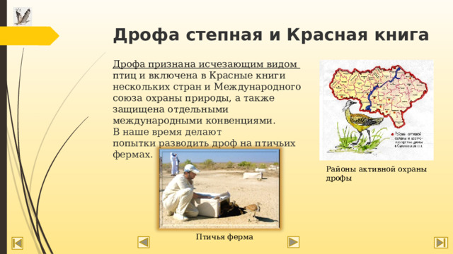 Дрофа степная и Красная книга   Дрофа признана исчезающим видом птиц и включена в Красные книги нескольких стран и Международного союза охраны природы, а также защищена отдельными международными конвенциями. В наше время делают попытки разводить дроф на птичьих фермах.   Районы активной охраны дрофы Птичья ферма 