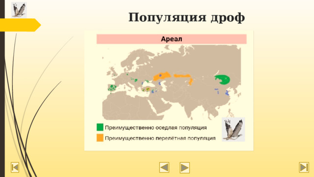 Популяция дроф 