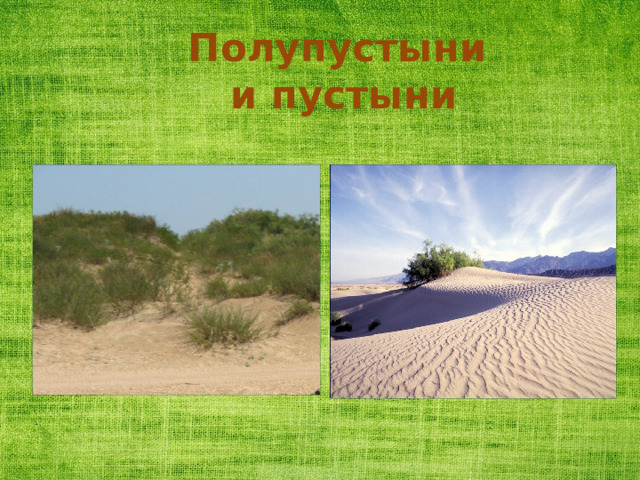 Полупустыни  и пустыни 