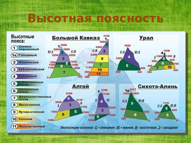 Высотная поясность 