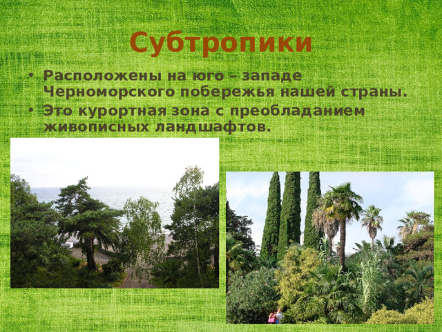 Субтропики Расположены на юго – западе Черноморского побережья нашей страны. Это курортная зона с преобладанием живописных ландшафтов. 