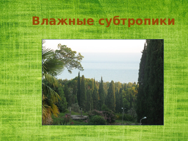 Влажные субтропики 