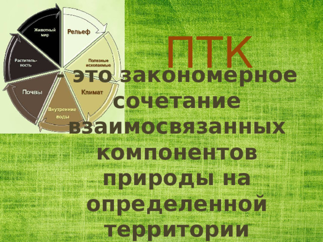 ПТК - это закономерное сочетание взаимосвязанных компонентов природы на определенной территории 