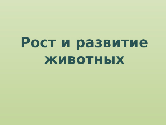 Рост и развитие животных 