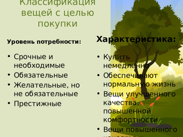 Классификация вещей с целью покупки Уровень потребности: Характеристика: Срочные и необходимые Обязательные Желательные, но не обязательные Престижные Купить немедленно Обеспечивают нормальную жизнь Вещи улучшенного качества, повышенной комфортности Вещи повышенного качества и комфортности 