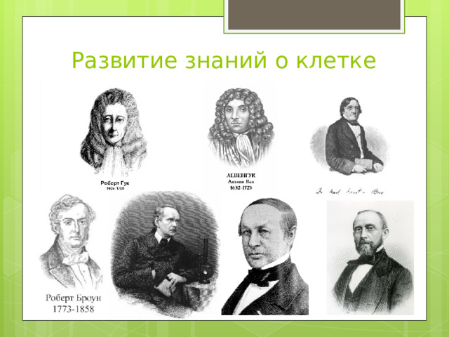 Развитие знаний о клетке 