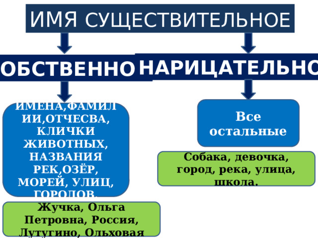 ИМЯ СУЩЕСТВИТЕЛЬНОЕ НАРИЦАТЕЛЬНОЕ СОБСТВЕННОЕ Все остальные ИМЕНА,ФАМИЛИИ,ОТЧЕСВА, КЛИЧКИ ЖИВОТНЫХ, НАЗВАНИЯ РЕК,ОЗЁР, МОРЕЙ, УЛИЦ, ГОРОДОВ. Собака, девочка, город, река, улица, школа. Жучка, Ольга Петровна, Россия, Лутугино, Ольховая 