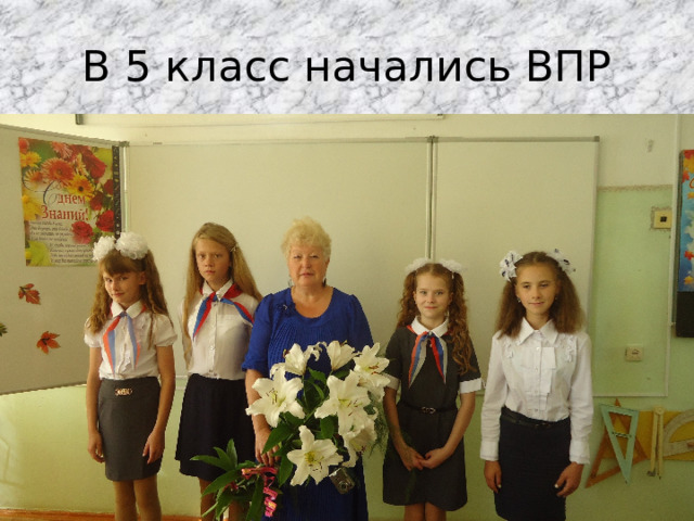 В 5 класс начались ВПР 