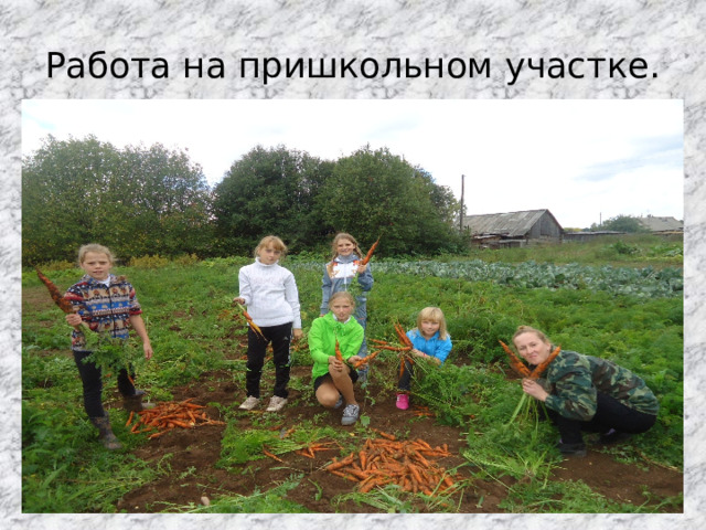 Работа на пришкольном участке. 