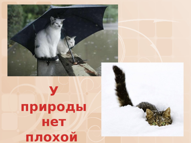 У природы нет плохой погоды 