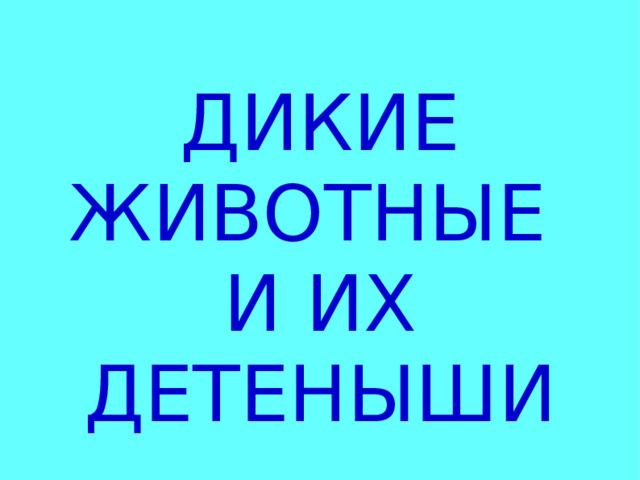ДИКИЕ ЖИВОТНЫЕ И ИХ ДЕТЕНЫШИ 