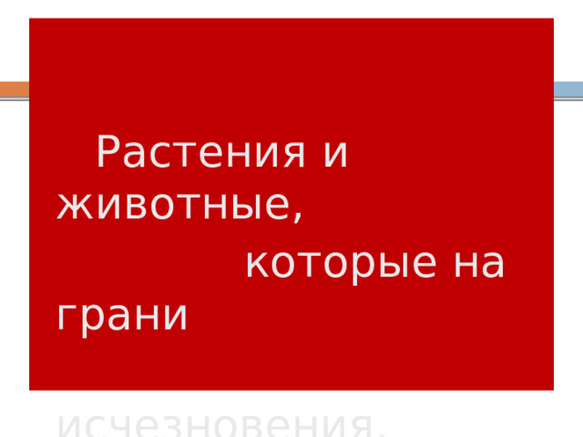  Растения и животные,  которые на грани  исчезновения. 
