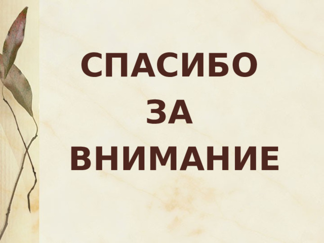 Спасибо  за  внимание 