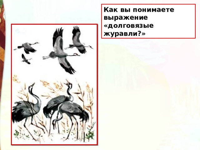 Как вы понимаете выражение «долговязые журавли?» 