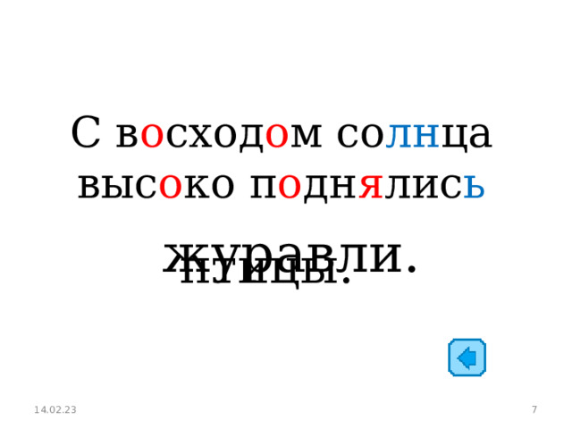 С в о сход о м со лн ца выс о ко п о дн я лис ь журавли. птицы. 14.02.23  