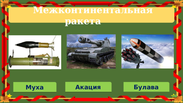 Межконтинентальная  ракета Булава Акация Муха 