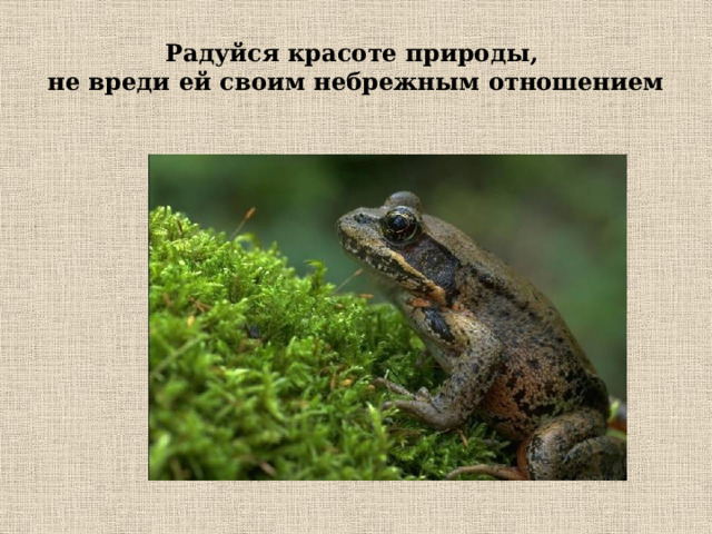 Радуйся красоте природы,  не вреди ей своим небрежным отношением 