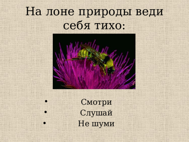 На лоне природы веди себя тихо: Смотри Слушай Не шуми 