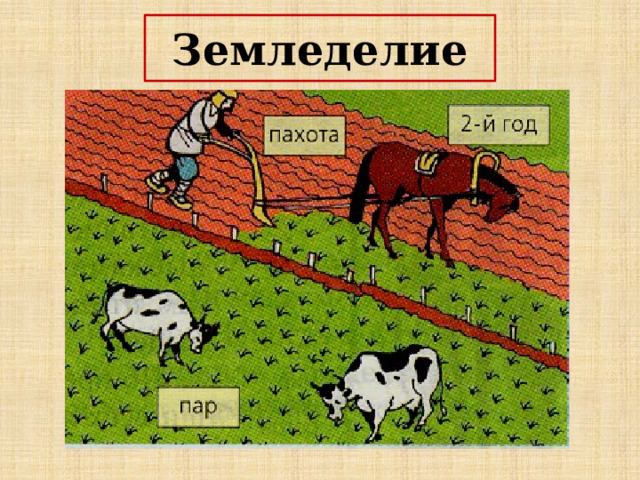 Земледелие 