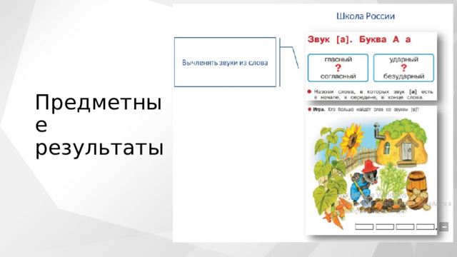 Предметные результаты 