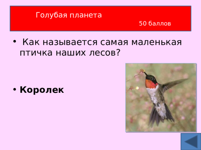 Голубая планета   50 баллов  Как называется самая маленькая птичка наших лесов?  Королек 