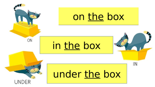 on the box in the box under the box 