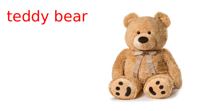teddy bear 