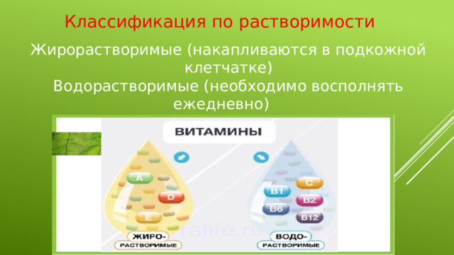 Классификация по растворимости Жирорастворимые (накапливаются в подкожной клетчатке) Водорастворимые (необходимо восполнять ежедневно) 