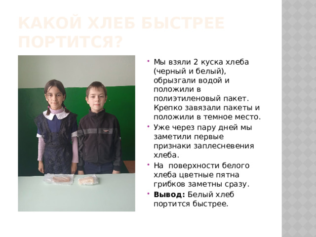 Какой хлеб быстрее портится? Мы взяли 2 куска хлеба (черный и белый), обрызгали водой и положили в полиэтиленовый пакет. Крепко завязали пакеты и положили в темное место. Уже через пару дней мы заметили первые признаки заплесневения хлеба. На поверхности белого хлеба цветные пятна грибков заметны сразу. Вывод: Белый хлеб портится быстрее. 