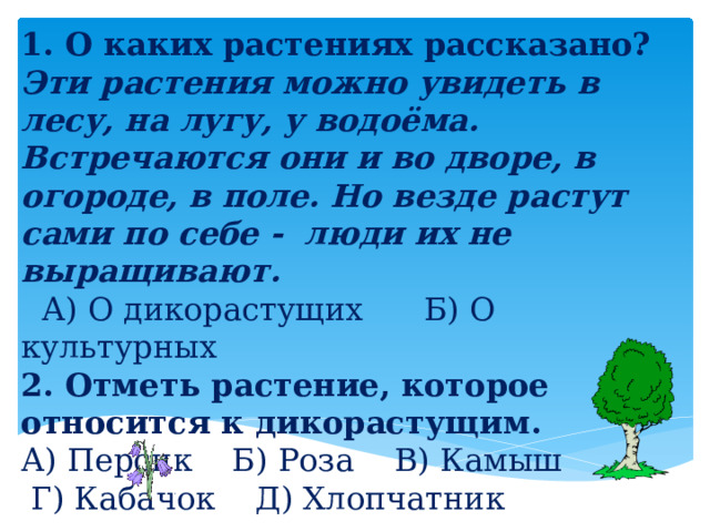 1. О каких растениях рассказано? Эти растения можно увидеть в лесу, на лугу, у водоёма. Встречаются они и во дворе, в огороде, в поле. Но везде растут сами по себе -  люди их не выращивают.                           А) О дикорастущих  Б) О культурных 2. Отметь растение, которое относится к дикорастущим. А) Персик    Б) Роза    В) Камыш      Г) Кабачок    Д) Хлопчатник 