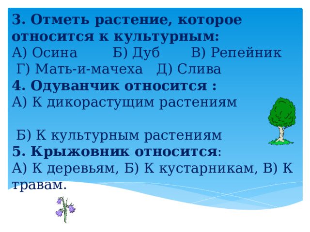 3. Отметь растение, которое относится к культурным: А) Осина     Б) Дуб    В) Репейник     Г) Мать-и-мачеха   Д) Слива 4. Одуванчик относится :   А) К дикорастущим растениям                                            Б) К культурным растениям 5. Крыжовник относится : А) К деревьям, Б) К кустарникам, В) К травам. 