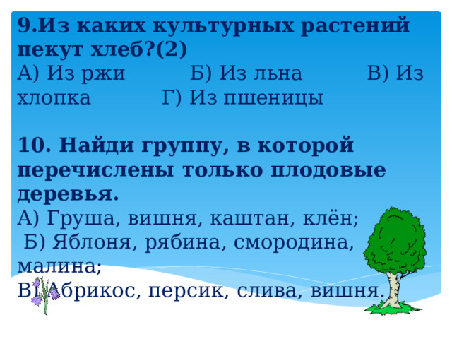 9.Из каких культурных растений пекут хлеб?(2) А) Из ржи Б) Из льна В) Из хлопка Г) Из пшеницы  10. Найди группу, в которой перечислены только плодовые деревья. А) Груша, вишня, каштан, клён;  Б) Яблоня, рябина, смородина, малина; В) Абрикос, персик, слива, вишня. 