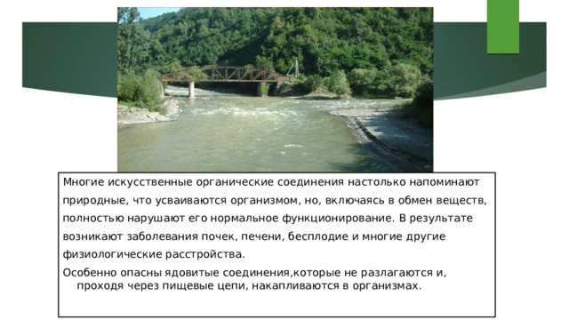 Многие искусственные органические соединения настолько напоминают природные, что усваиваются организмом, но, включаясь в обмен веществ, полностью нарушают его нормальное функционирование. В результате возникают заболевания почек, печени, бесплодие и многие другие физиологические расстройства. Особенно опасны ядовитые соединения,которые не разлагаются и, проходя через пищевые цепи, накапливаются в организмах. 