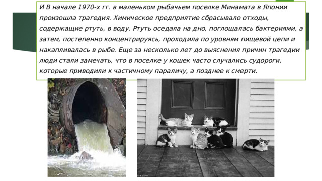 И В начале 1970-х гг. в маленьком рыбачьем поселке Минамата в Японии произошла трагедия. Химическое предприятие сбрасывало отходы, содержащие ртуть, в воду. Ртуть оседала на дно, поглощалась бактериями, а затем, постепенно концентрируясь, проходила по уровням пищевой цепи и накапливалась в рыбе. Еще за несколько лет до выяснения причин трагедии люди стали замечать, что в поселке у кошек часто случались судороги, которые приводили к частичному параличу, а позднее к смерти. 