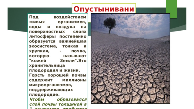 Опустынивание Под воздействием живых организмов, воды и воздуха на поверхностных слоях литосферы постепенно образуется важнейшая экосистема, тонкая и хрупкая, - почва, которую называют 
