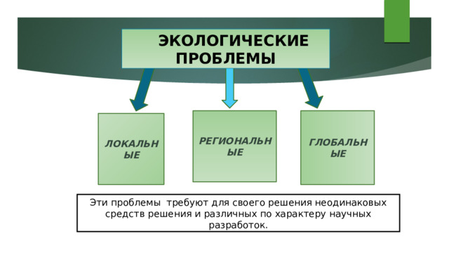  ЭКОЛОГИЧЕСКИЕ ПРОБЛЕМЫ РЕГИОНАЛЬНЫЕ ГЛОБАЛЬНЫЕ ЛОКАЛЬНЫЕ Эти проблемы требуют для своего решения неодинаковых средств решения и различных по характеру научных разработок. 