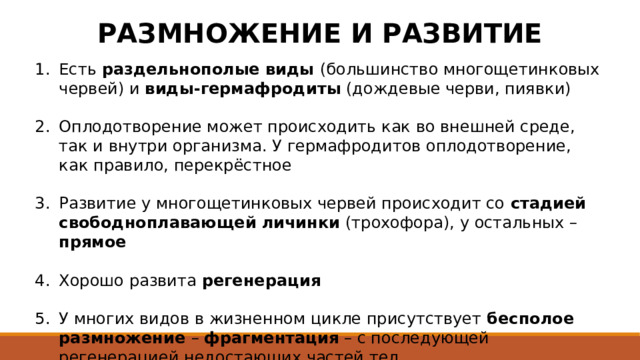 РАЗМНОЖЕНИЕ И РАЗВИТИЕ Есть раздельнополые виды (большинство многощетинковых червей) и виды-гермафродиты (дождевые черви, пиявки) Оплодотворение может происходить как во внешней среде, так и внутри организма. У гермафродитов оплодотворение, как правило, перекрёстное Развитие у многощетинковых червей происходит со стадией свободноплавающей личинки (трохофора), у остальных – прямое Хорошо развита регенерация У многих видов в жизненном цикле присутствует бесполое размножение – фрагментация – с последующей регенерацией недостающих частей тел 