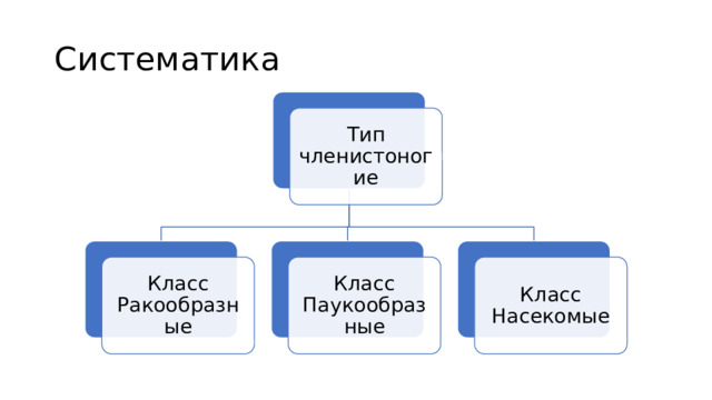 Систематика Тип членистоногие Класс Ракообразные Класс Паукообразные Класс Насекомые 